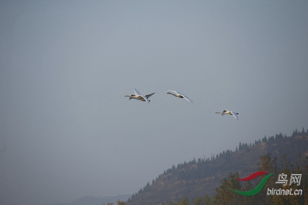 _E8J0261.jpg