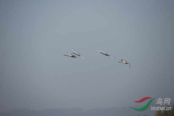 _E8J0268.jpg