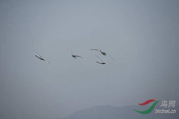_E8J0273.jpg