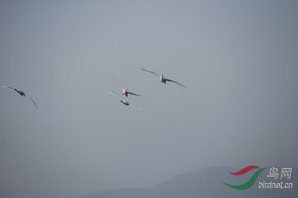 _E8J0275.jpg