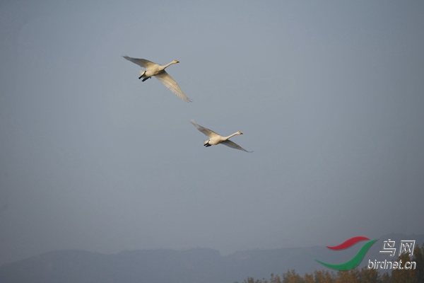 _E8J0293.jpg