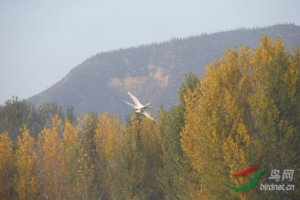 _E8J0307.jpg