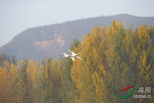 _E8J0311.jpg
