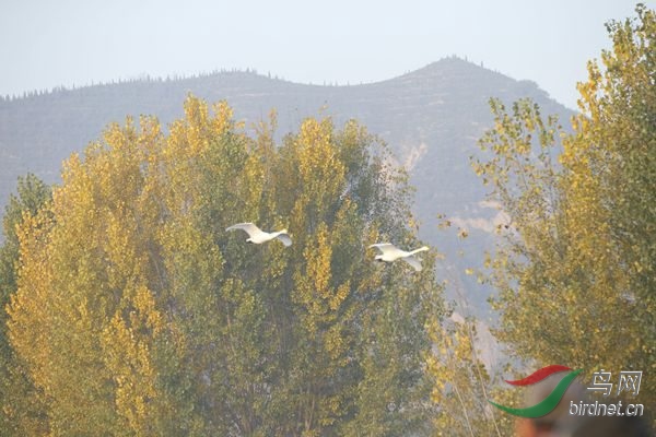 _E8J0320.jpg
