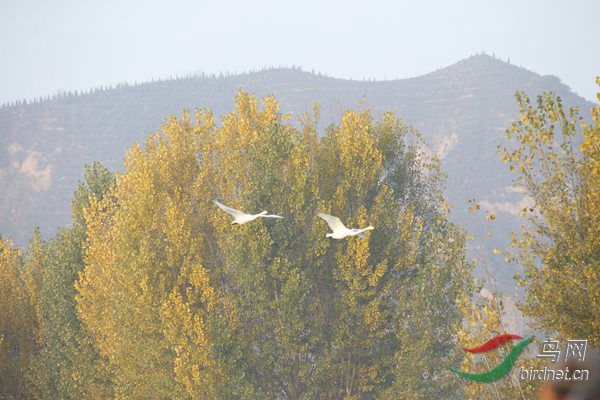 _E8J0318.jpg