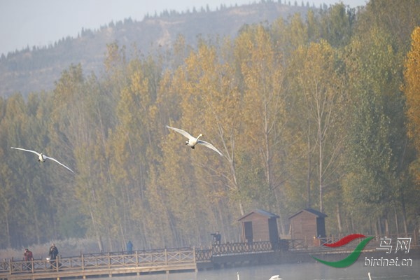 _E8J0347.jpg