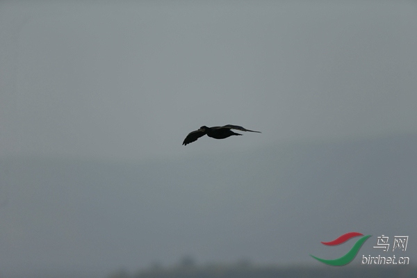 _E8J0643.jpg