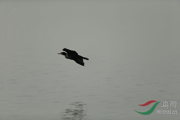 _E8J0654.jpg
