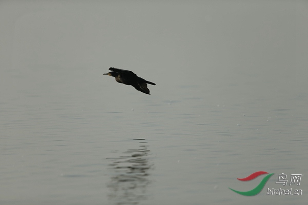 _E8J0655.jpg