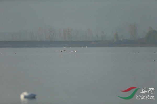 _E8J0673.jpg