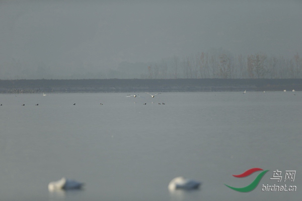 _E8J0669.jpg