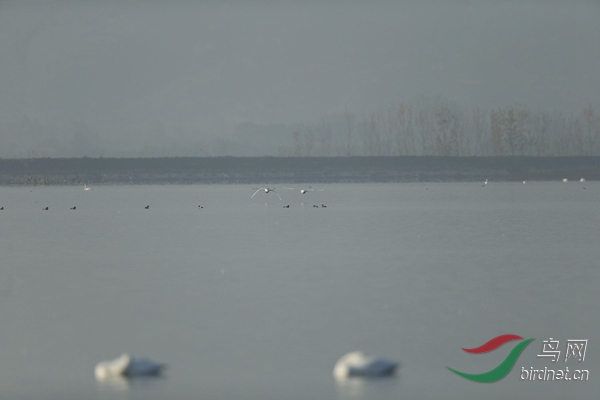 _E8J0670.jpg