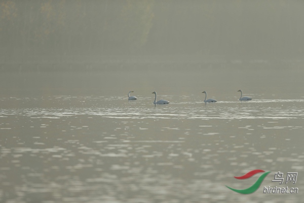 _E8J0667.jpg