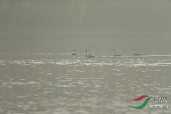 _E8J0668.jpg