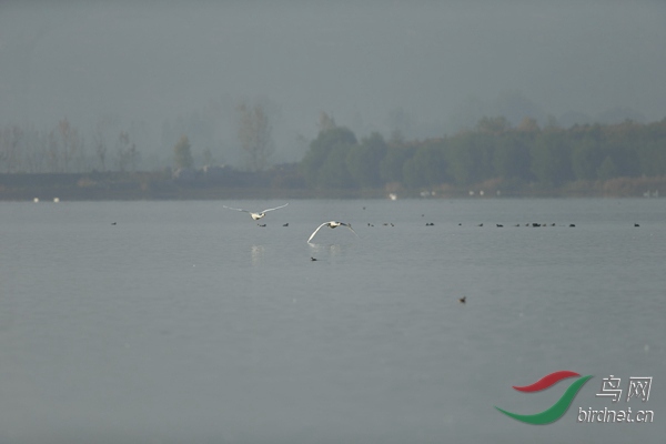 _E8J0678.jpg