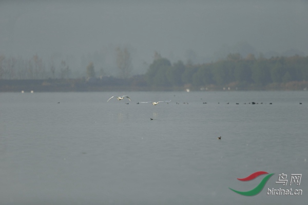 _E8J0677.jpg