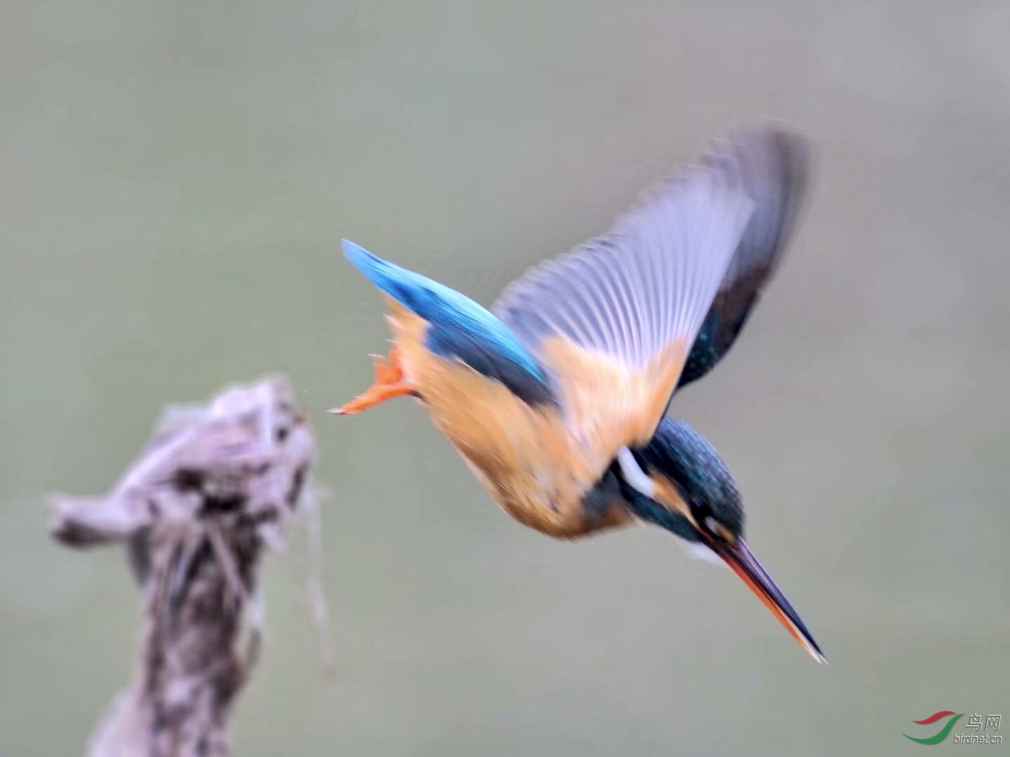 301753AB-C43F-404C-A2FF-F9A8D3D160D8.jpeg
