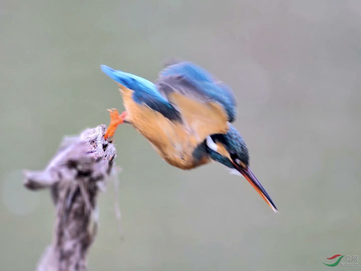 F857ADC2-5D15-4E2E-A141-664D012E669F.jpeg