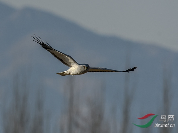 DSC_1762'x.jpg