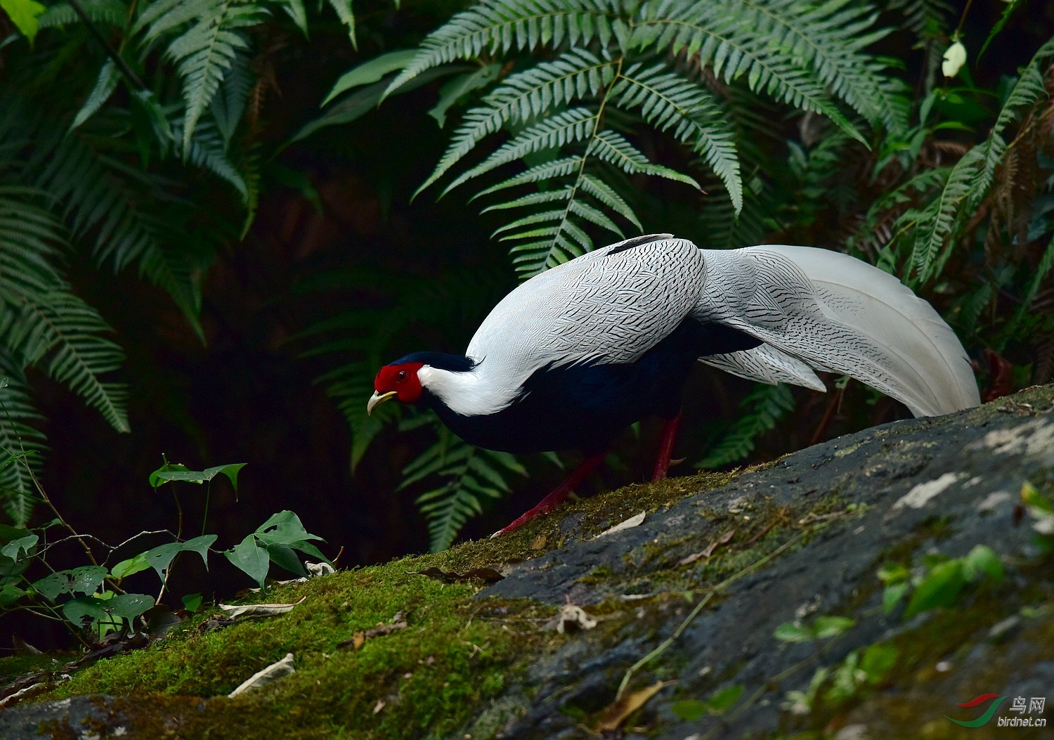 D8I_0890.jpg