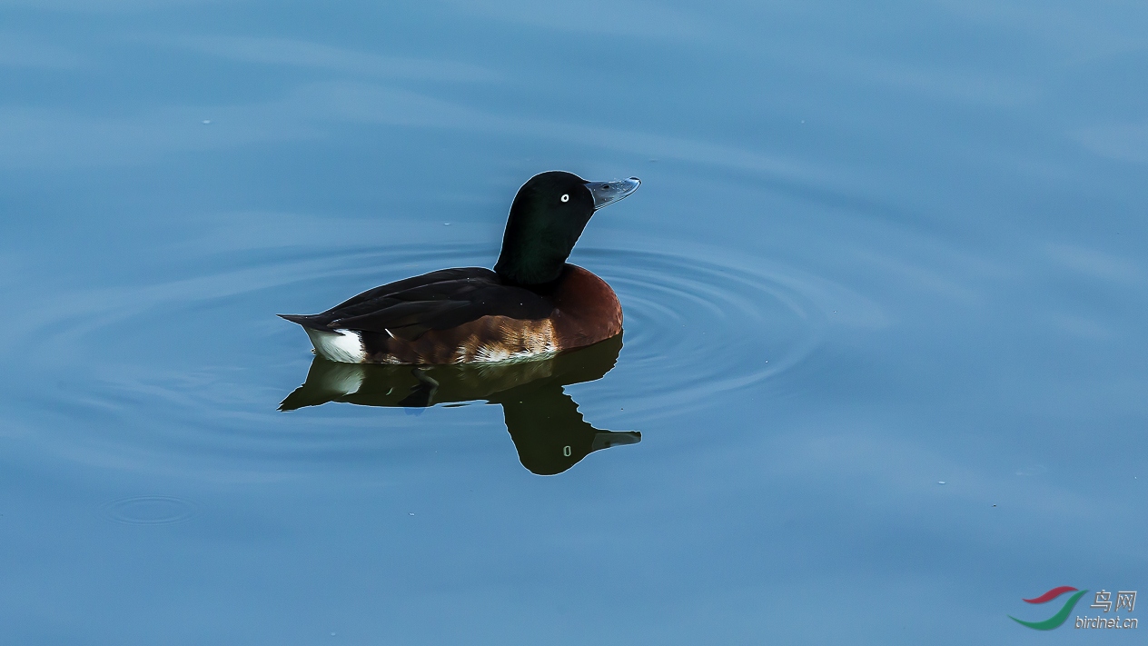 A39J0879_1.JPG