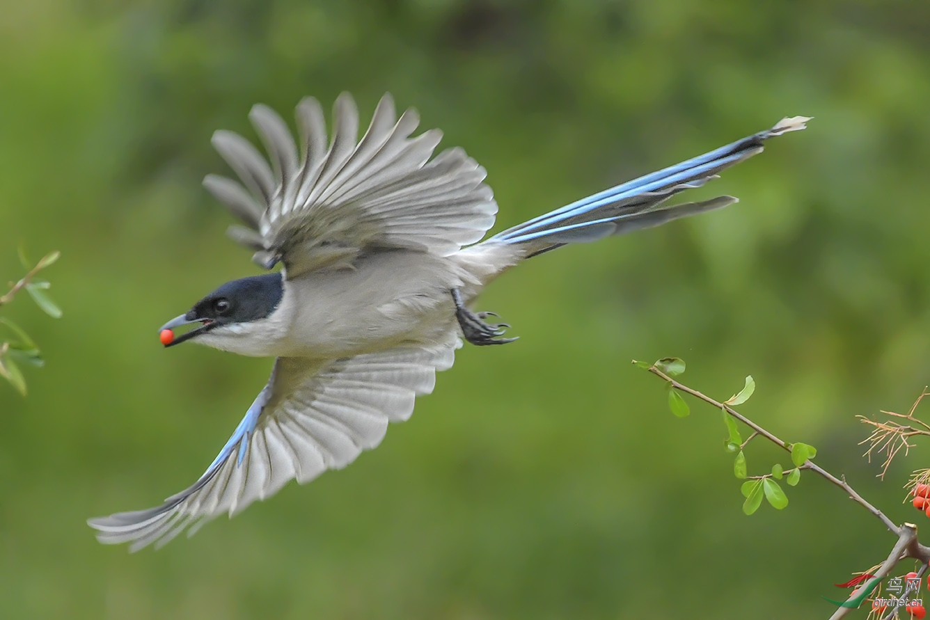 DSC_5717-2.jpg