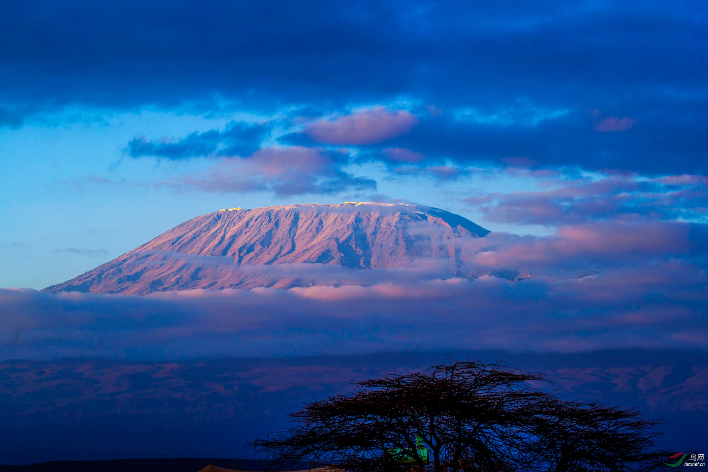 霞光溢影乞力马扎罗