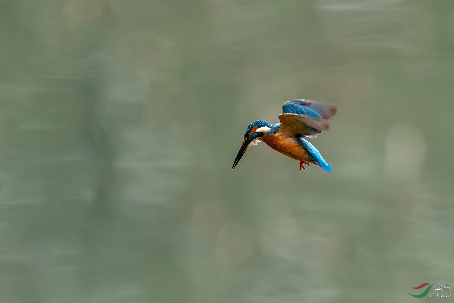 A9D04542a.jpg
