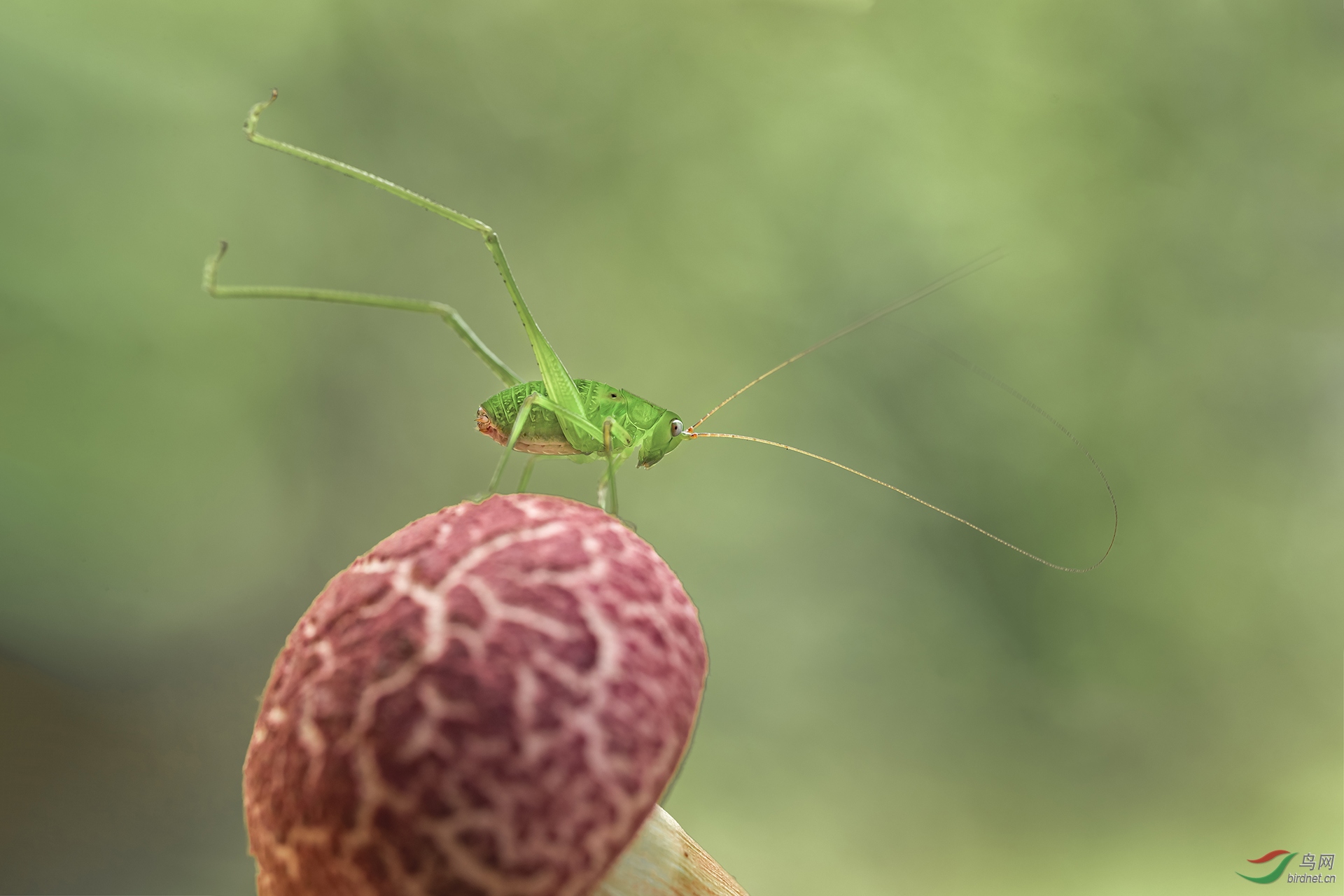 5��Χ---T̨��-��ѩ��8904381277-������ (3).jpg