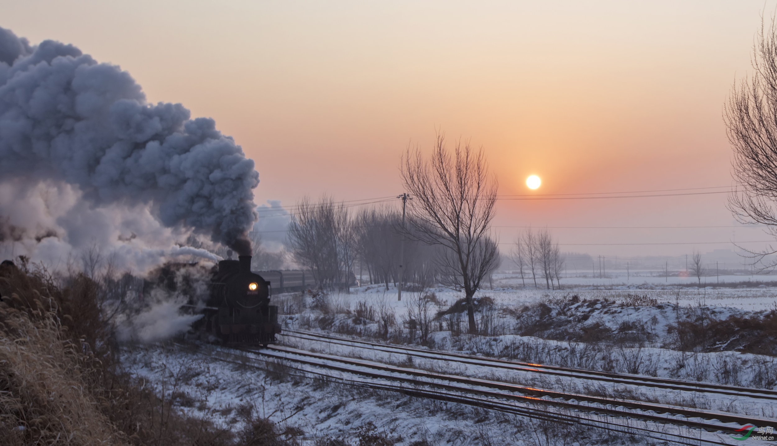 _B0A3584-1-1.jpg