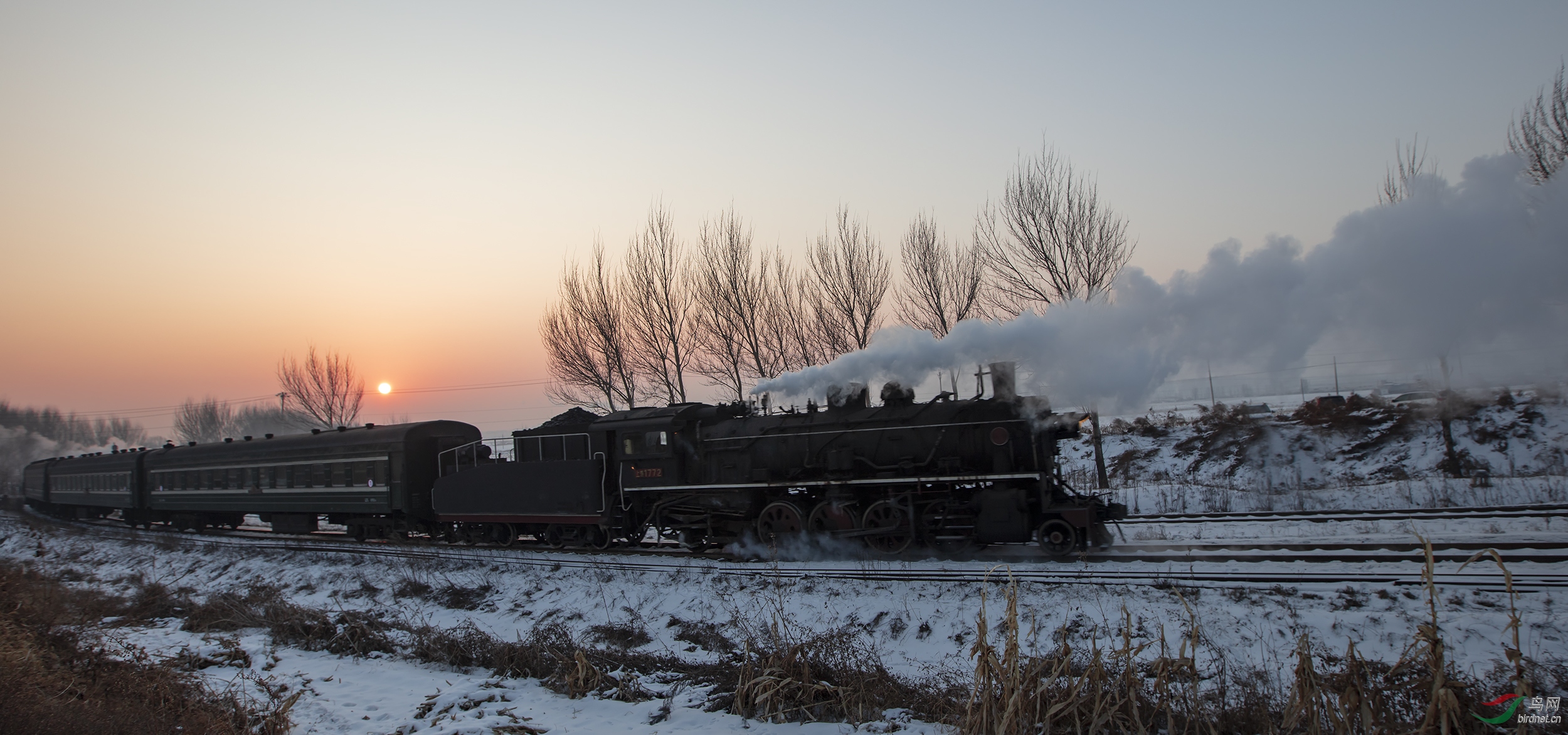 _B0A3568-1.jpg