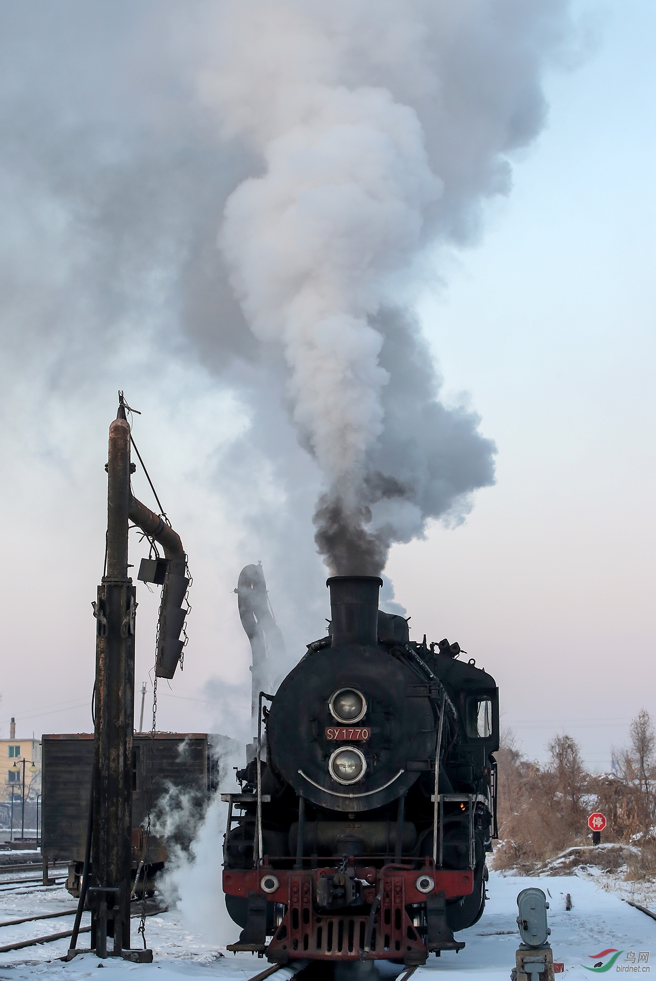 AC3I4874-1.jpg