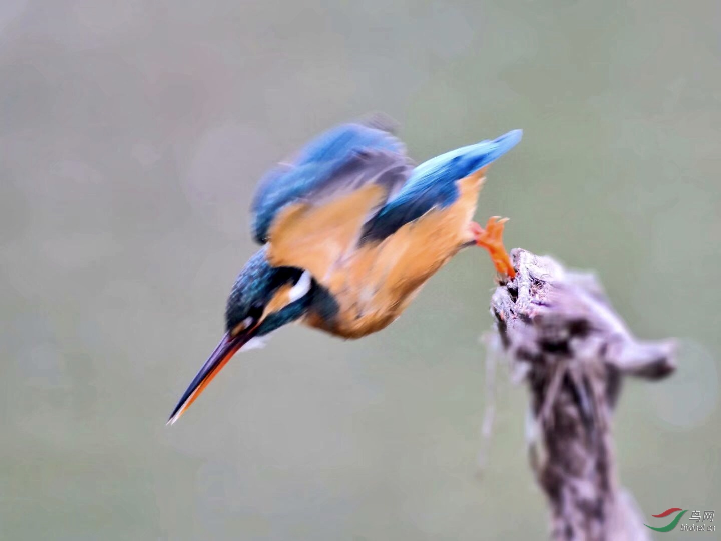 413F5F15-72E1-4E37-86B1-B7BEE81051F1.jpeg
