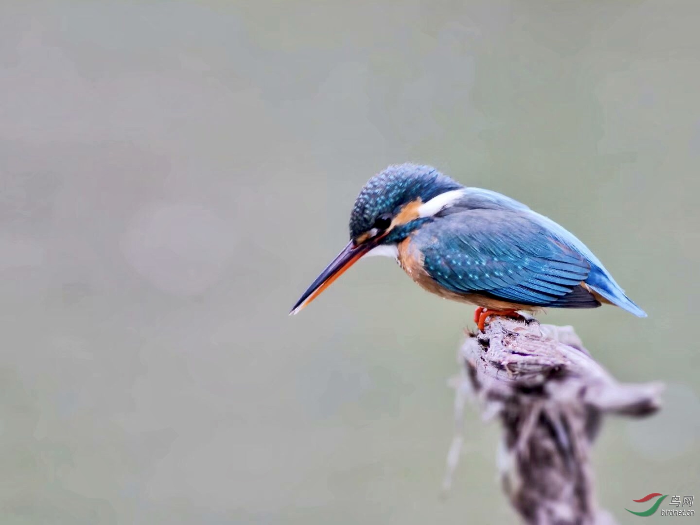 57148681-C23C-4706-98FF-C87586E4388E.jpeg