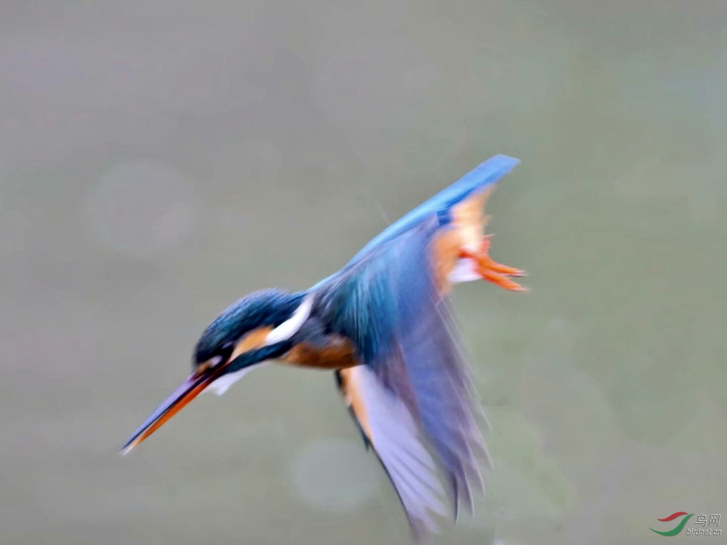 7D39D3C5-F21D-4136-98C8-652C1B74DFEE.jpeg