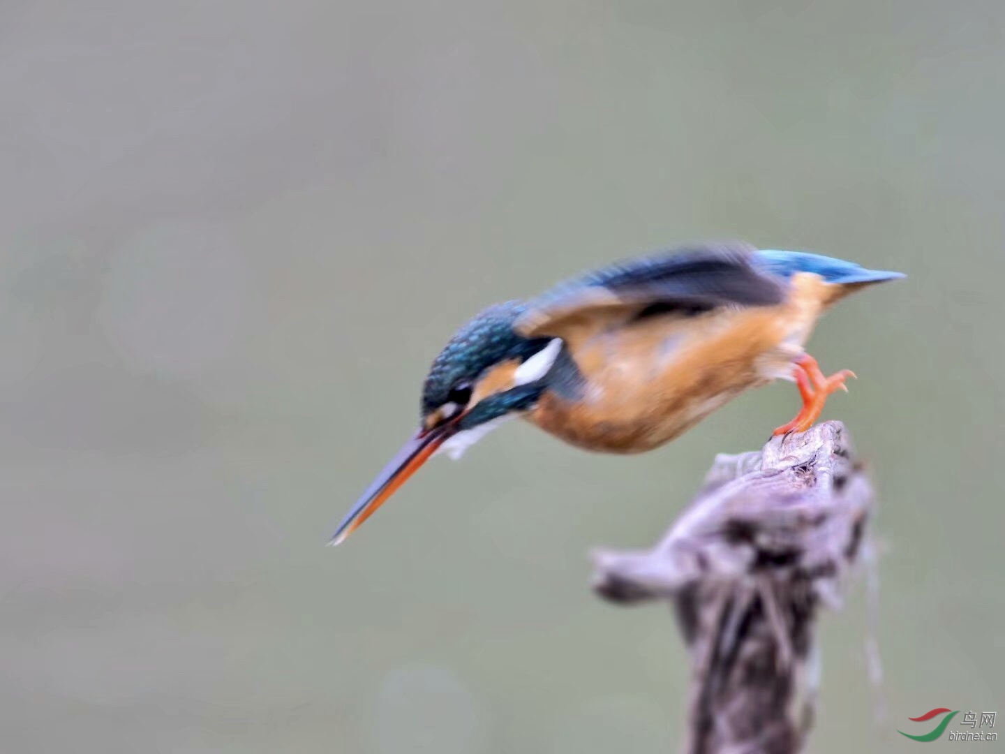 5A120F51-5C97-4D9C-845F-1C567426252E.jpeg