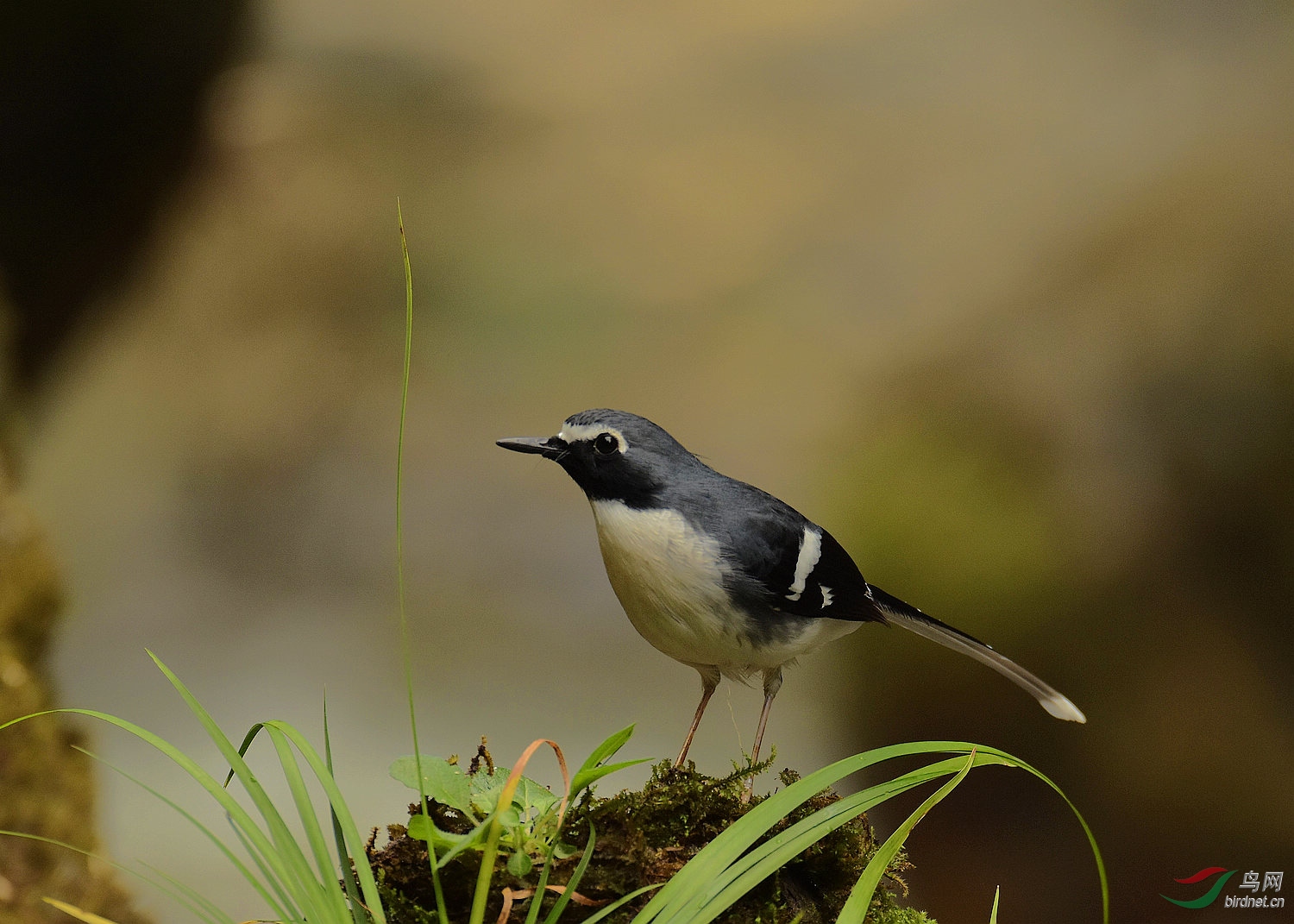 D72_7080.jpg