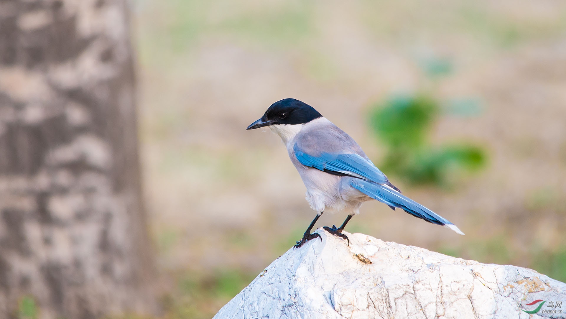 DSC_3467.jpg