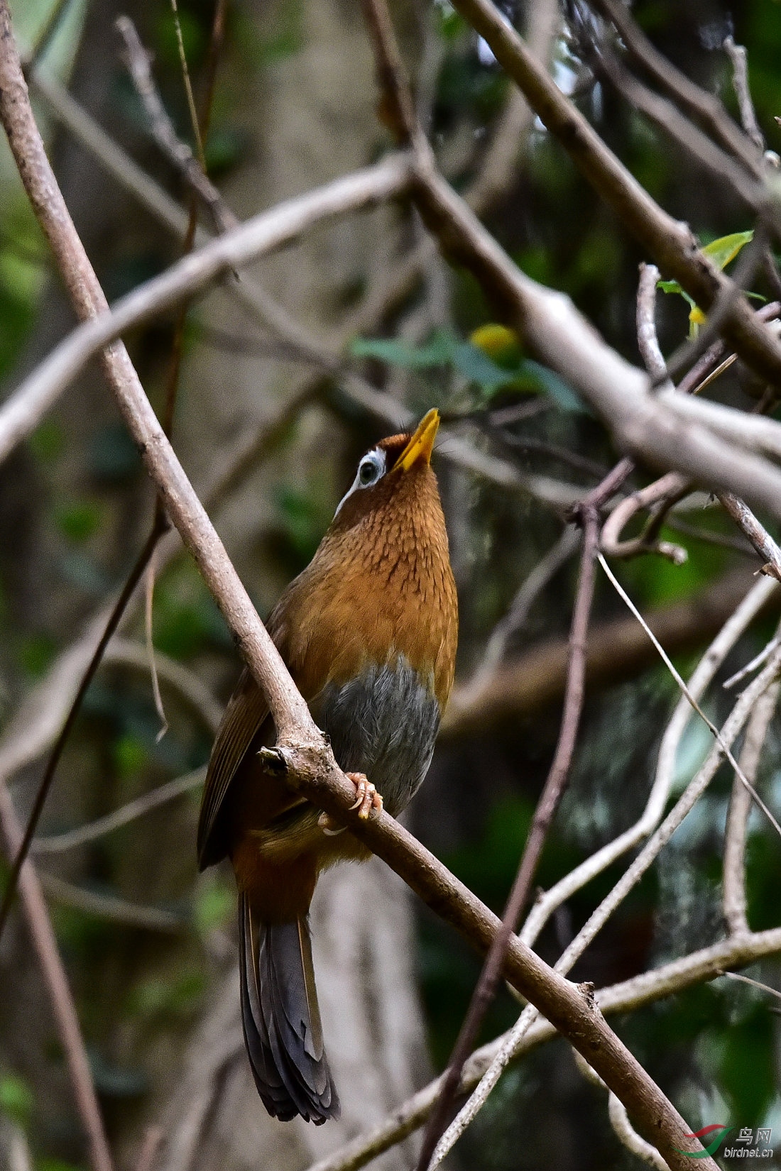 DSC_0792.JPG