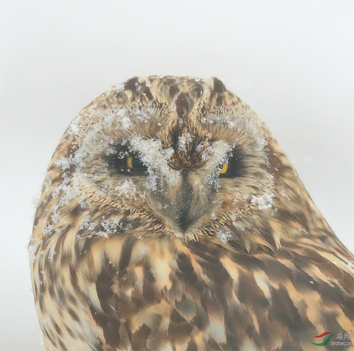 23 - ����.JPG