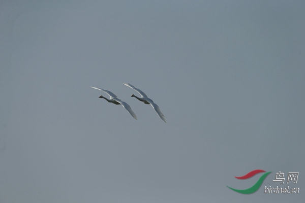 _E8J1123.jpg