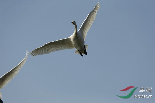 _E8J1140.jpg
