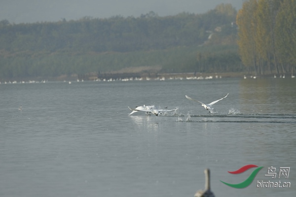 _E8J1153.jpg