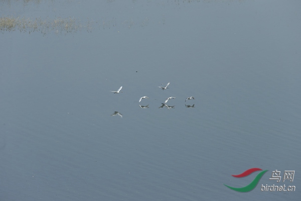 _E8J1253.jpg