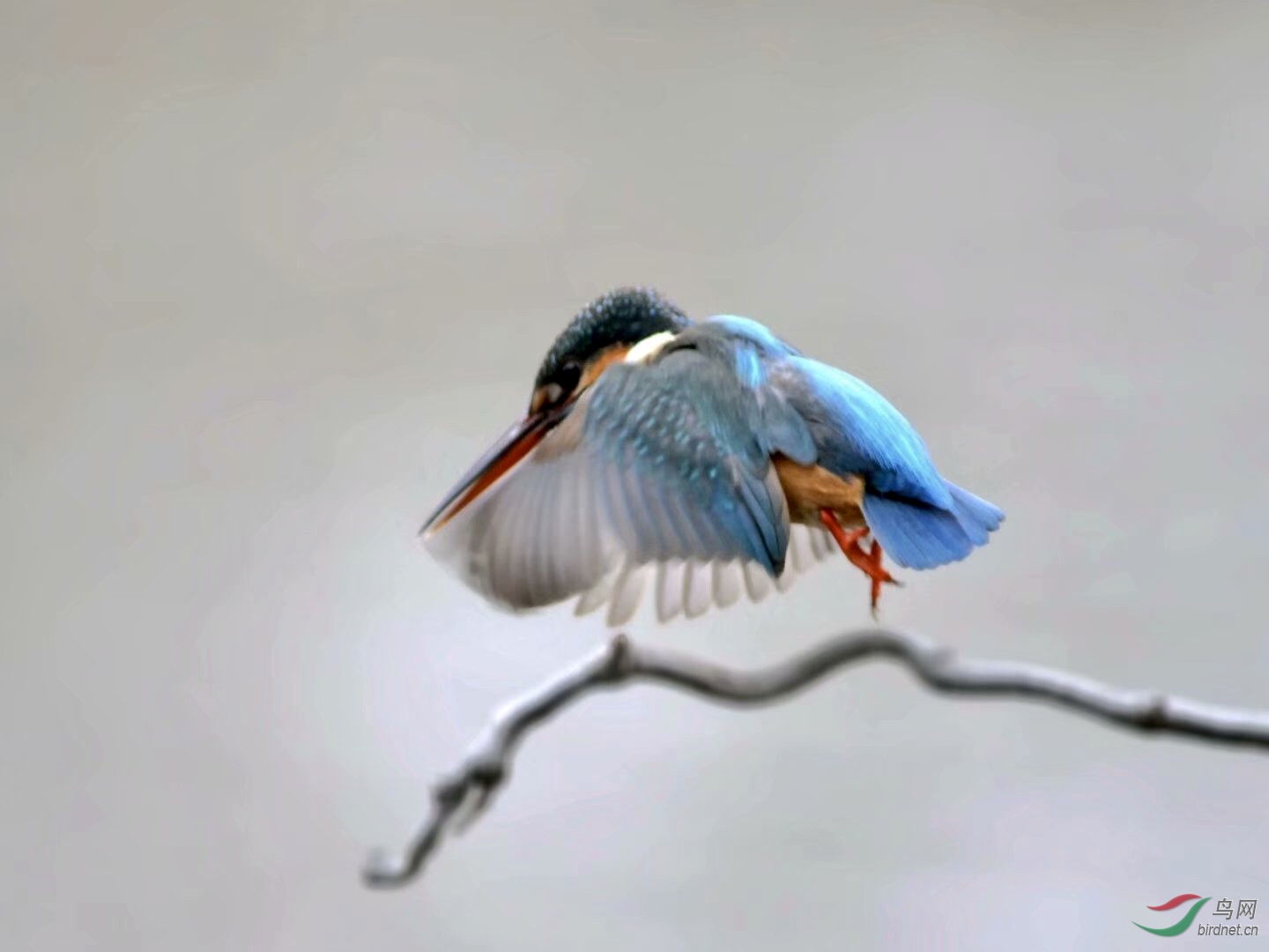 F513ECB7-D1CF-4D6F-A804-0AB5A5439838.jpeg
