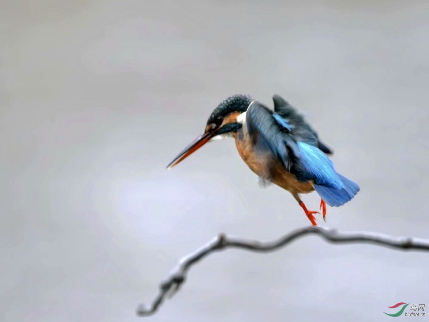 3D05B06B-8EE8-47E3-BF01-95EA544488ED.jpeg