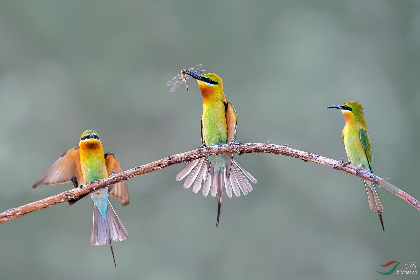 DSC_3612.jpg