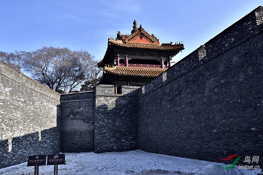 _AEF7369_00001_����.jpg