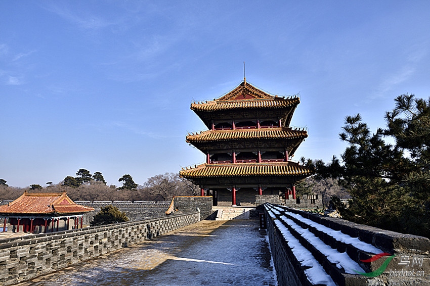 _AEF7388_00001_����.jpg
