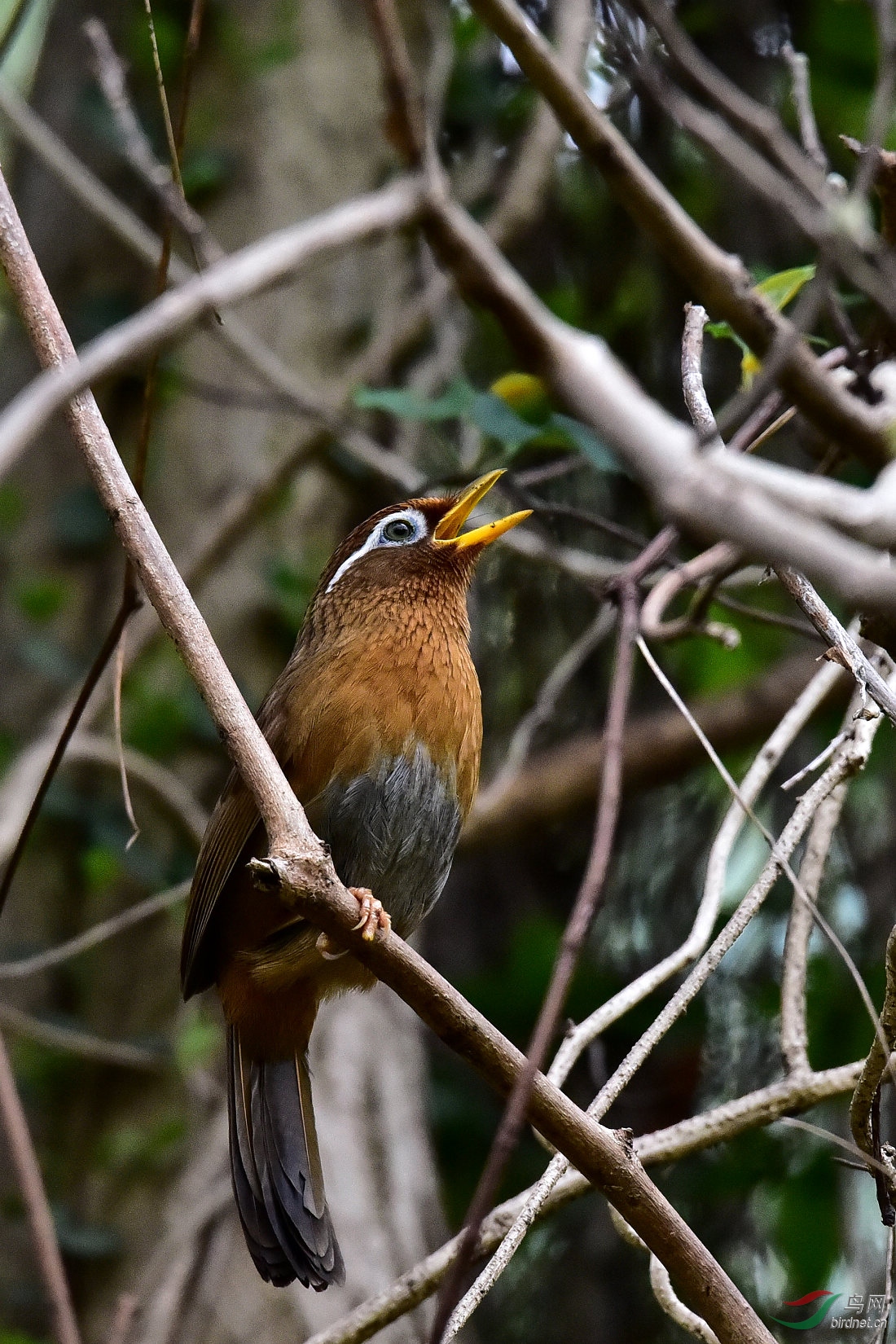 DSC_0796.JPG